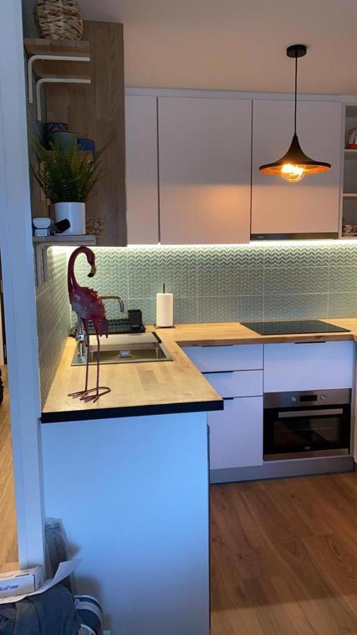 Apartament Pinomar La Mata  Zewnętrze zdjęcie